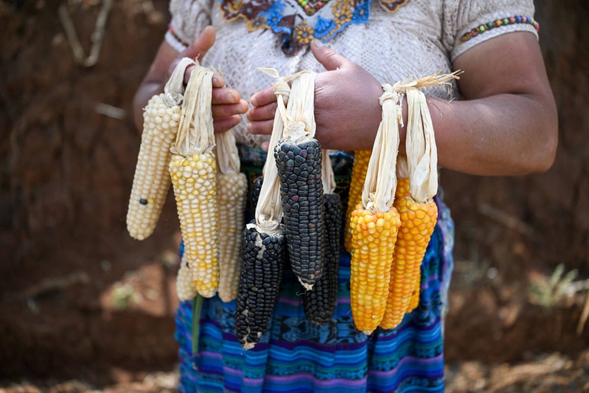 El miedo al hambre se apodera de una aldea guatemalteca ante la llegada de El Niño