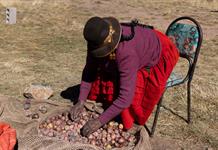 En el altiplano de Perú, la desesperanza marca la elección presidencial
