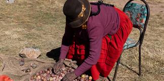 En el altiplano de Perú, la desesperanza marca la elección presidencial En el altiplano de Perú, la desesperanza marca la elección presidencial