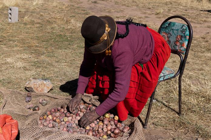 En el altiplano de Perú, la desesperanza marca la elección presidencial En el altiplano de Perú, la desesperanza marca la elección presidencial