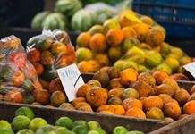 OMS advierte que contaminación alimentaria causa 1,5 millones de muertes globales cada año