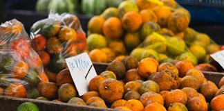 OMS advierte que contaminaci&oacute;n alimentaria causa 1,5 millones de muertes globales cada a&ntilde;o