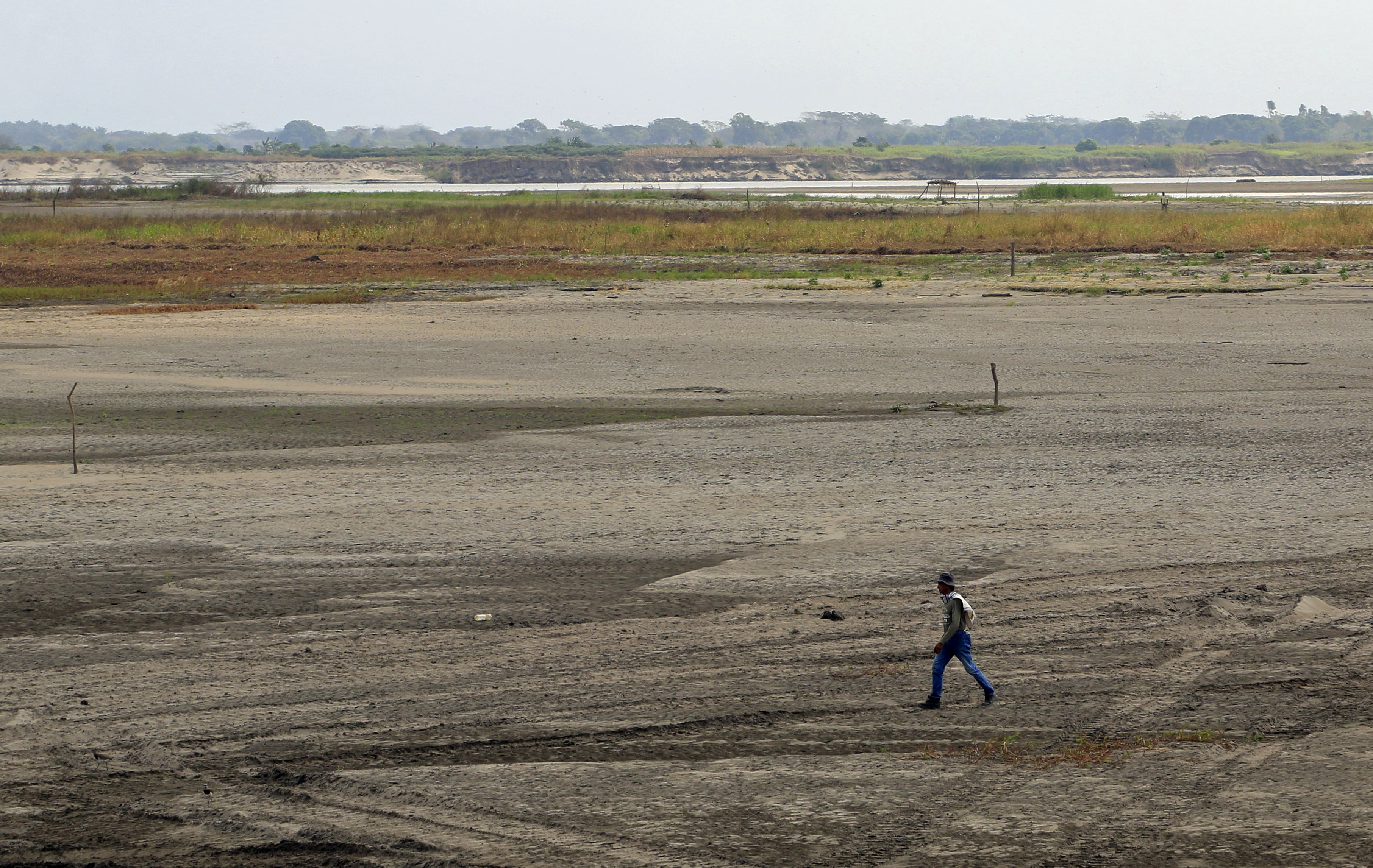 Se avecina El Niño, ¿qué efectos tendrá el fenómeno sobre un planeta ya en riesgo? Se avecina El Niño, ¿qué efectos tendrá el fenómeno sobre un planeta ya en riesgo?