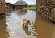 Se avecina El Niño, ¿qué efectos tendrá el fenómeno sobre un planeta ya en riesgo? Se avecina El Niño, ¿qué efectos tendrá el fenómeno sobre un planeta ya en riesgo?