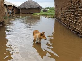 Se avecina El Niño, ¿qué efectos tendrá el fenómeno sobre un planeta ya en riesgo? Se avecina El Niño, ¿qué efectos tendrá el fenómeno sobre un planeta ya en riesgo?