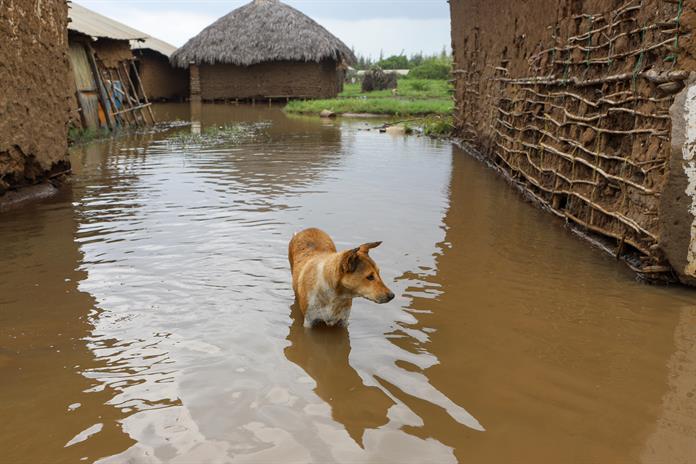 Se avecina El Niño, ¿qué efectos tendrá el fenómeno sobre un planeta ya en riesgo? Se avecina El Niño, ¿qué efectos tendrá el fenómeno sobre un planeta ya en riesgo?