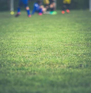 Empresas financiar&aacute;n derechos de transmisi&oacute;n del Mundial en Fan Fest de Ciudad de M&eacute;xico