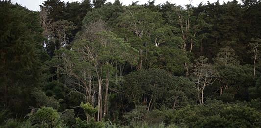 El 75 % de la población mundial considera el cambio climático una amenaza muy grave
