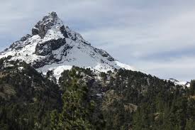 El Patronato del Nevado de Colima inicia actividades por su 29 aniversario