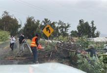 Primeras lluvias provocan inundaciones y asentamientos en Ciudad Guzmán
