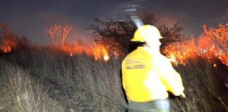 Con 43 incendios atendidos, concluye una de las mejores temporadas de estiaje en Zapotl&aacute;n