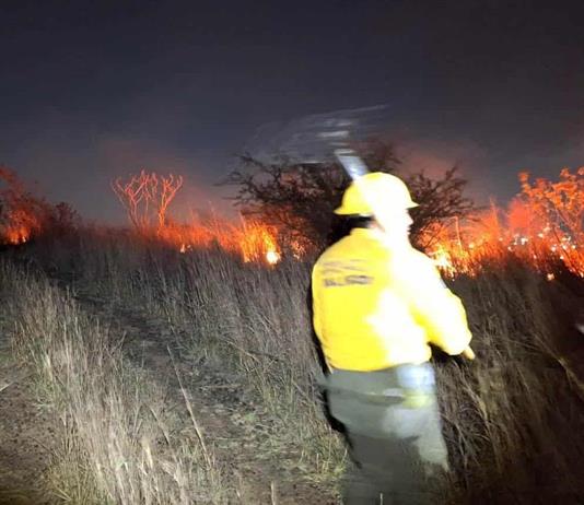 Con 43 incendios atendidos, concluye una de las mejores temporadas de estiaje en Zapotl&aacute;n
