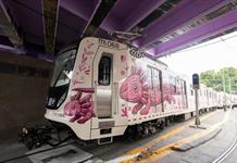 Trenes Hechos en China transportarán a aficionados a sedes mexicanas de Mundial 2026 Trenes Hechos en China transportarán a aficionados a sedes mexicanas de Mundial 2026