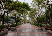 Paseo Chapultepec estrena nueva imagen tras rehabilitación Paseo Chapultepec estrena nueva imagen tras rehabilitación