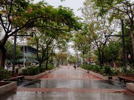 Paseo Chapultepec estrena nueva imagen tras rehabilitaci&oacute;n