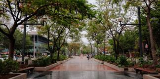 Paseo Chapultepec estrena nueva imagen tras rehabilitaci&oacute;n
