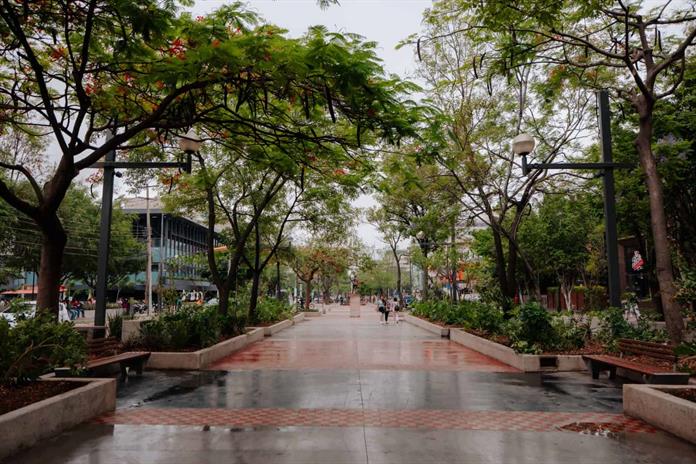 Paseo Chapultepec estrena nueva imagen tras rehabilitación Paseo Chapultepec estrena nueva imagen tras rehabilitación
