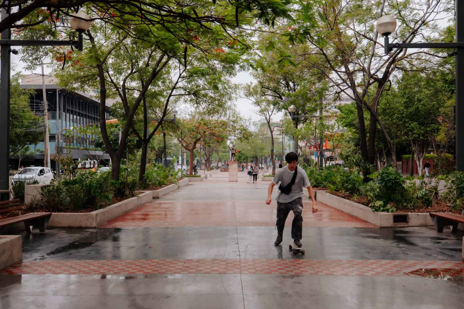 Paseo Chapultepec estrena nueva imagen tras rehabilitación Paseo Chapultepec estrena nueva imagen tras rehabilitación
