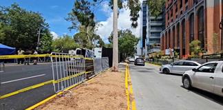 Indigna tala de &aacute;rbol cerca de La Minerva previo al concierto de Man&aacute;