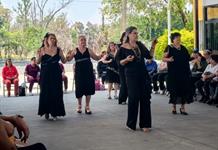 Invitan en Ocotlán a clases abiertas de danzón y baile latino para todas las edades Invitan en Ocotlán a clases abiertas de danzón y baile latino para todas las edades
