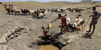 La mitad de la infancia mundial afronta al menos tres amenazas climáticas, según Unicef La mitad de la infancia mundial afronta al menos tres amenazas climáticas, según Unicef