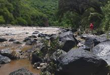 Confirman primera muerte por lluvias en Jalisco; hallan cuerpo que fue arrastrado por la corriente