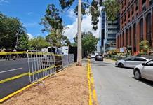 Tala de árboles en avenida Vallarta estaba programada por el temporal: Guadalajara Tala de árboles en avenida Vallarta estaba programada por el temporal: Guadalajara