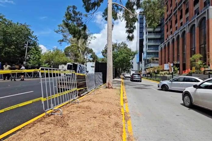 Tala de árboles en avenida Vallarta estaba programada por el temporal: Guadalajara Tala de árboles en avenida Vallarta estaba programada por el temporal: Guadalajara
