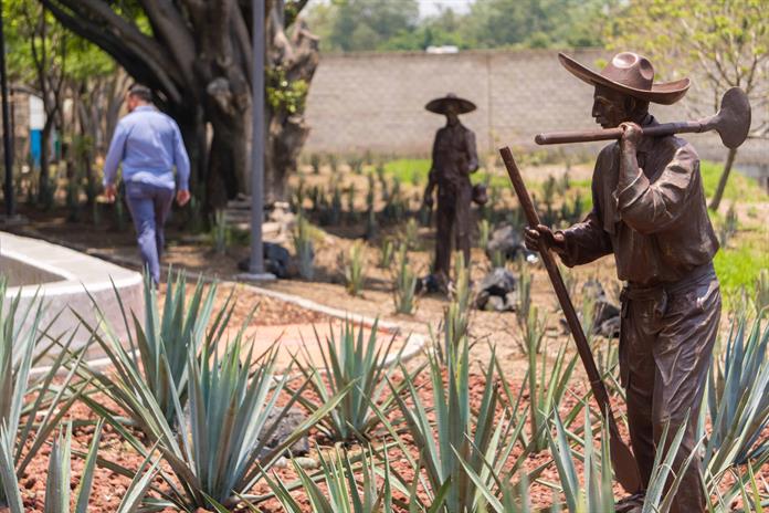 Museo Tequila Lab celebrará el 20 aniversario del Paisaje Agavero como patrimonio mundial Museo Tequila Lab celebrará el 20 aniversario del Paisaje Agavero como patrimonio mundial
