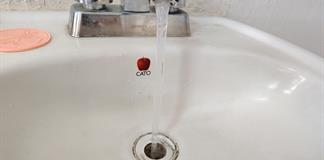 Denuncian agua turbia y hasta con gusanos en Tlaquepaque