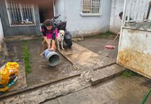 Vecinos de Tlajomulco culpan a Línea 4 por inundaciones