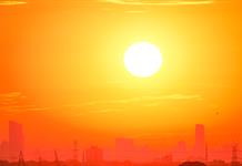 El estrés térmico se intensifica en todo el mundo El estrés térmico se intensifica en todo el mundo