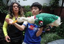 México reconoce a la familia Gómez la marca del viral pato mundialista