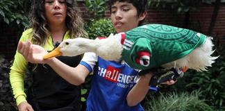 M&eacute;xico reconoce a la familia G&oacute;mez la marca del viral pato mundialista
