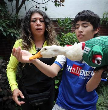 M&eacute;xico reconoce a la familia G&oacute;mez la marca del viral pato mundialista