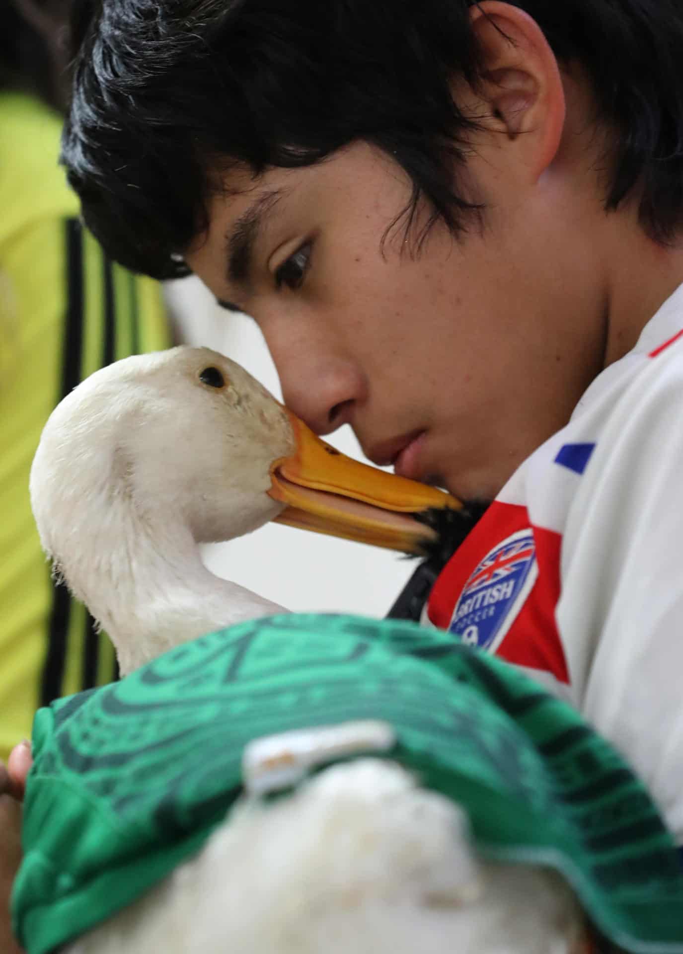 Otorgan el registro de la marca Pato Merlín a su propietaria en México
