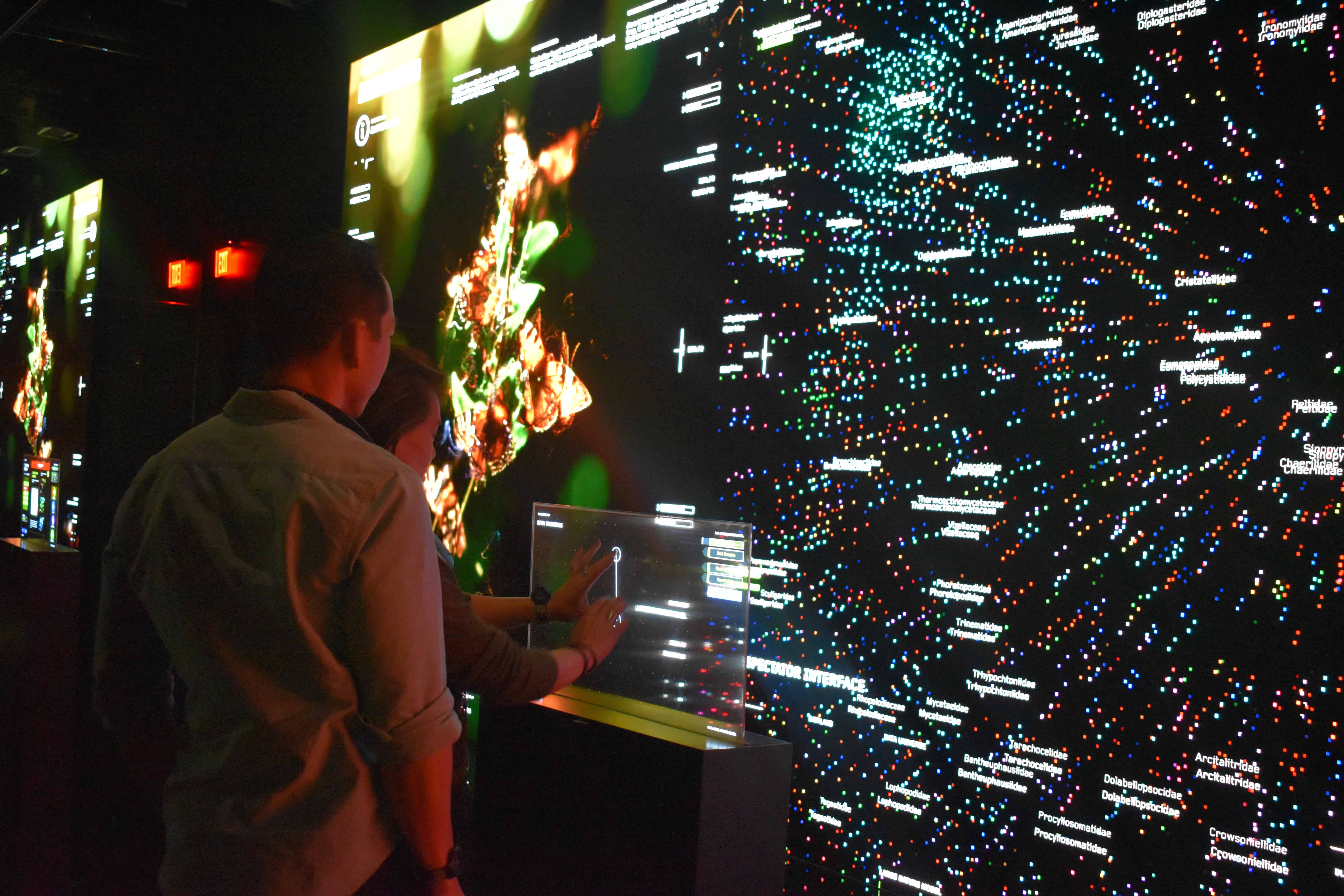 Dataland, el primer museo de IA, usa las emociones del visitante para crear arte