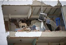 Ascienden a 920 muertos y 3.360 los heridos en Venezuela tras el doble terremoto