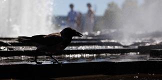 Alemania supera de nuevo su r&eacute;cord hist&oacute;rico de altas temperaturas, con 41,5 grados