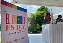 Llaman a juventudes LGBT+ a no abandonar la lucha por sus derechos durante Parlamento Juvenil