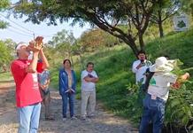 Reforestan el Cerro de la Reina con especies nativas
