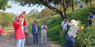 Reforestan el Cerro de la Reina con especies nativas