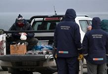 Argentina halla hantavirus en Tierra del Fuego sin nexo con brote del crucero Hondius