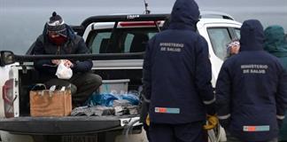 Argentina halla hantavirus en Tierra del Fuego sin nexo con brote del crucero Hondius