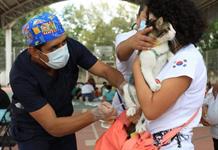 Inician campaña gratuita de esterilización de perros y gatos en Tapalpa