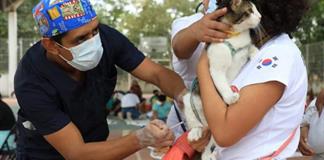 Inician campaña gratuita de esterilización de perros y gatos en Tapalpa Inician campaña gratuita de esterilización de perros y gatos en Tapalpa
