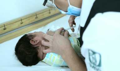 Brote de tosferina alerta por muertes infantiles en México Brote de tosferina alerta por muertes infantiles en México