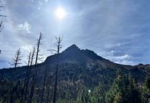 Celebrarán el Día del Árbol con actividades en el Nevado de Colima