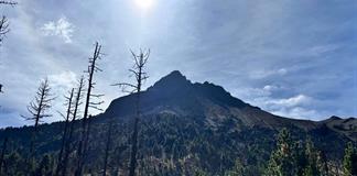 Celebrar&aacute;n el D&iacute;a del &Aacute;rbol con actividades en el Nevado de Colima
