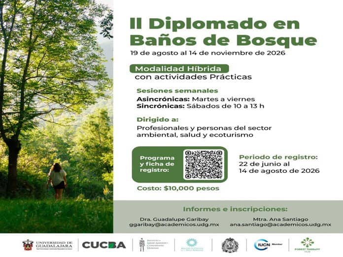 El CUCBA abre diplomado para aprender los beneficios de los baños de bosque